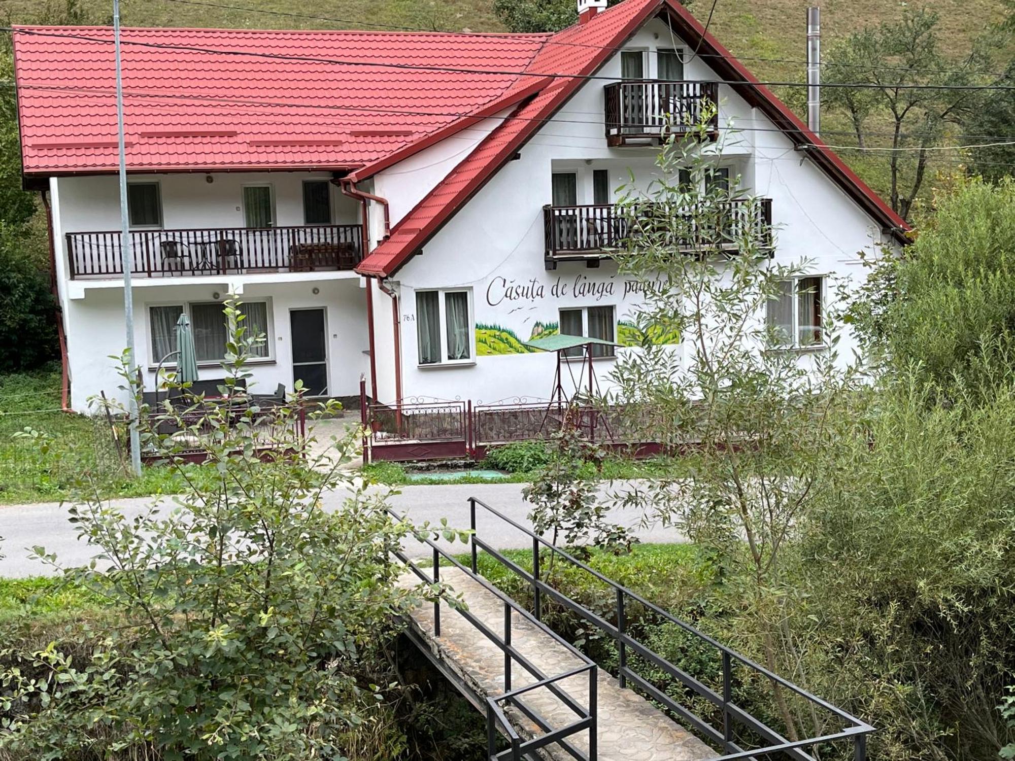 Отель Casuta De Langa Padure Моечиу-де-Сус Экстерьер фото