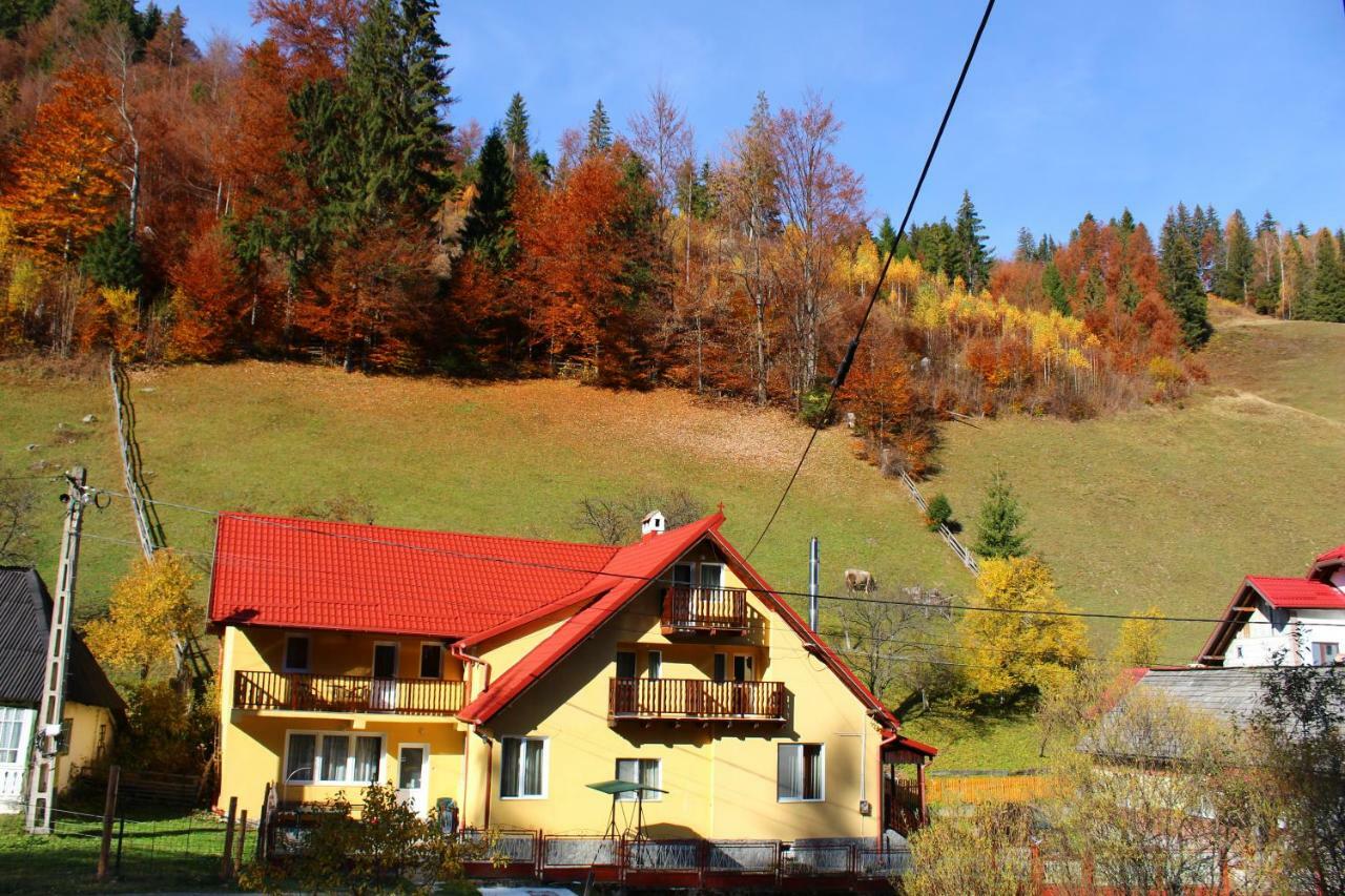 Отель Casuta De Langa Padure Моечиу-де-Сус Экстерьер фото